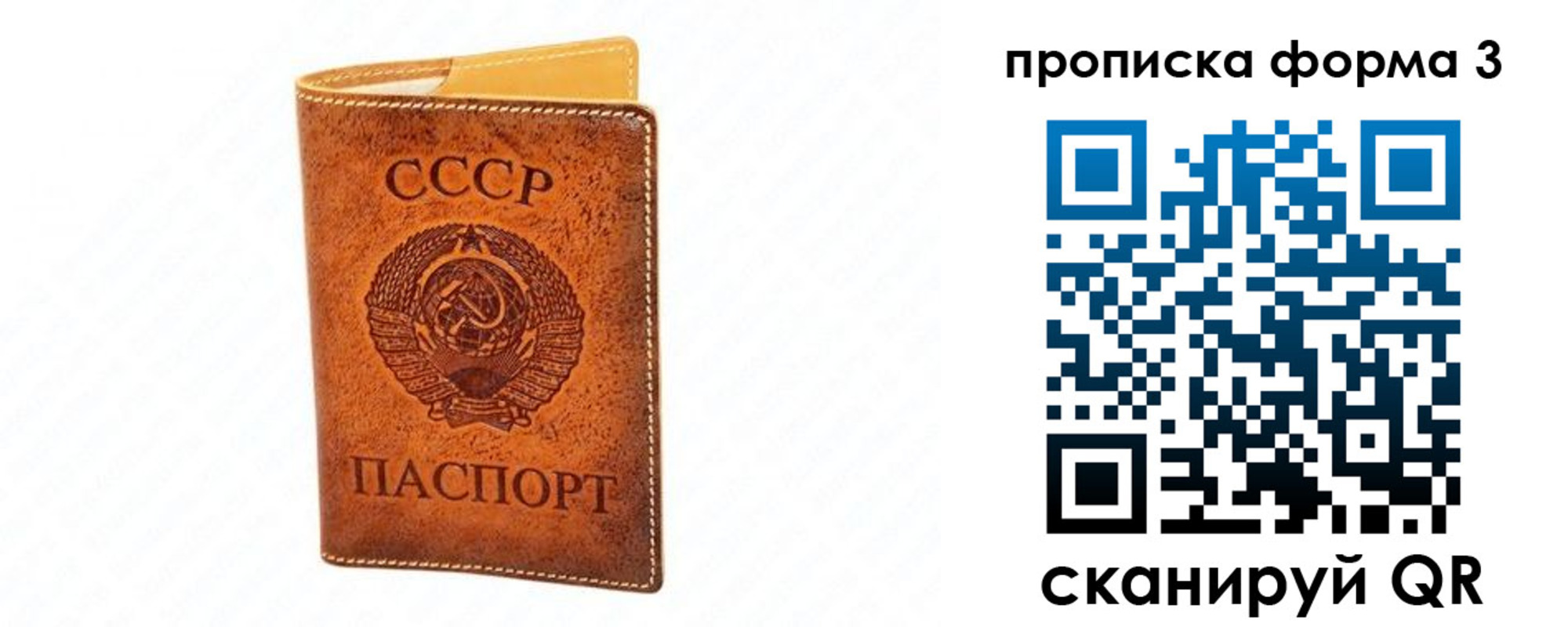 временная регистрация госуслуги в Павлово